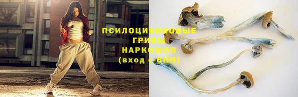 стафф Вяземский
