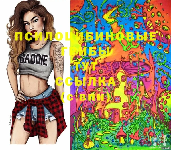 МДПВ Вязьма