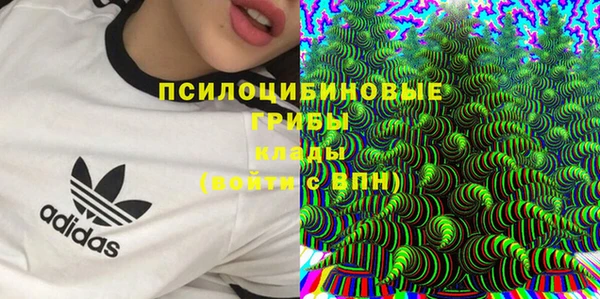 МДПВ Вязьма