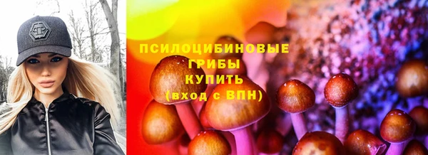 МДПВ Вязьма