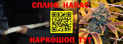 сатива Балахна