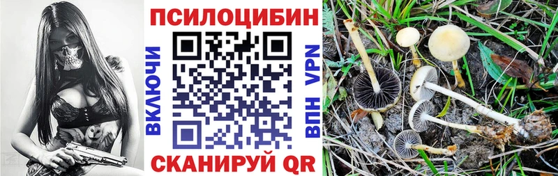 Галлюциногенные грибы MAGIC MUSHROOMS  hydra ССЫЛКА  Нерюнгри  наркотики 
