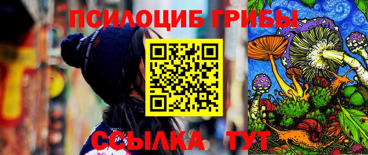 Псилоцибиновые грибы ЛСД  купить  цена  Псилоцибиновые грибы мицелий  Нерюнгри 
