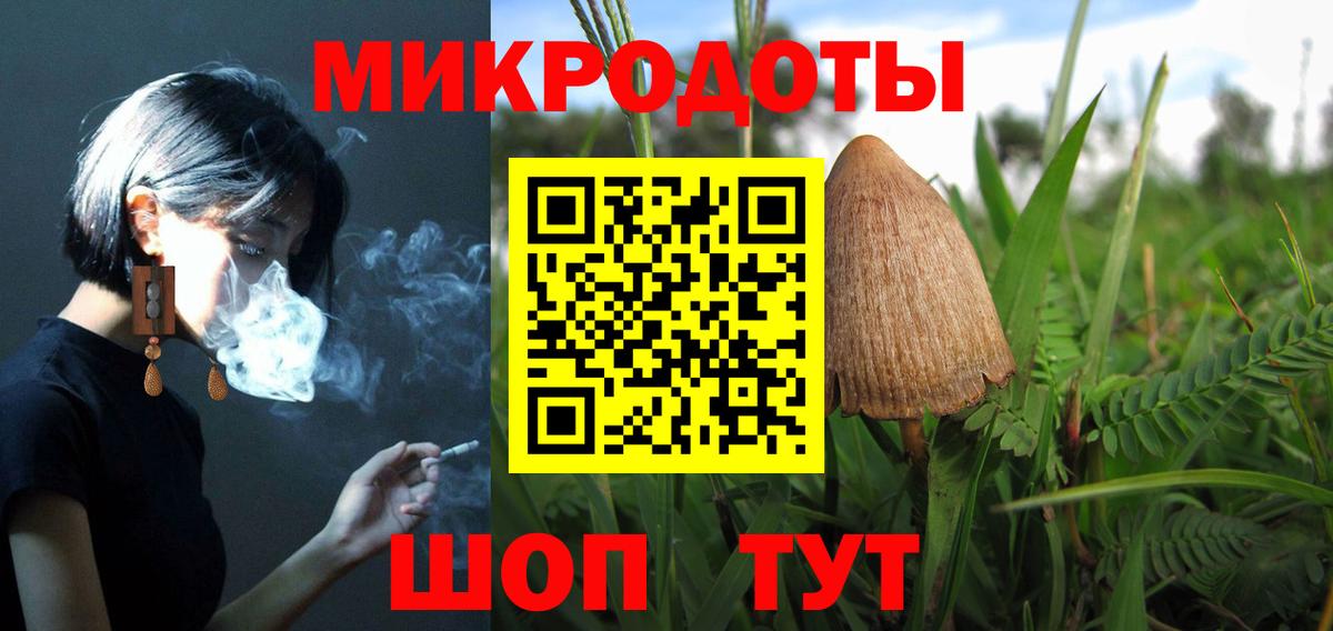 продажа наркотиков  Галлюциногенные грибы Psilocybe  Вход с VPN  Нерюнгри 